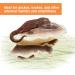 Zilla Vertical Mushroom Feeding Ledge - Durable and Easy-to-Install - Buy Online on GoSupps.com