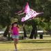 JOYIN 43.3'' Giant Unicorn Kite for Kids and Adults - Easy-to-Fly Large Beach Kite with 262.5 ft String - Perfect for Outdoor Games - Buy Online on GoSupps.com