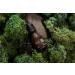 Buy Natura Ekos Murumuru Night Serum | Revitalize Your Skin | International Shipping Available - Buy Online on GoSupps.com