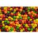Skittles Original Bulk Box 11.34 Kilograms - Buy Online on GoSupps.com