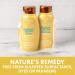 Aveeno Sunflower Oil Blend Shampoo for Dry Damaged Hair - 12 Fl Oz - Buy Online on GoSupps.com