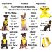 Dexil Limited Yellow Color Coded Non-Pull Dog Harness - XS 13-19 Inch Chest/Girth - Buy Online on GoSupps.com