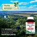 FITO MEDIC S Lab White Willow Bark Capsules - 3000 mg 200 Count - Ultra High Absorption for Optimal Health - Buy Online on GoSupps.com