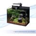 Aqueon Clip-On LED Light for 20 Gallon Planted Aquariums - Buy Online on GoSupps.com