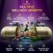 LetaGreen Sea Moss and Lion s Mane Bundle Wild Sea Moss Capsules and Lions Mane Supplement Capsules Mind Balance & Daily Wellness 240 Count Plant-Based Supplement - Buy Online on GoSupps.com