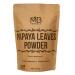 MB Herbals Papaya Leaves Powder 227g (0.5lb / 8 oz) | Carica Papaya | Papaya Leaf Powder Benefits Hair and Skin| Non GMO | Gluten Free