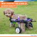 HeoBam Dog Wheelchair - for Small Dog Adjustable Dog Wheelchair for Hind Legs Rehabilitation Pet Rehabilitation Cart Handicap Wheels for Dogs Convenient Dog Wheelchair(XS(B)) - Buy Online on GoSupps.com
