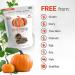 Superseedz Raw Pumpkin Seeds (Pepitas) No Shell 12 oz - Whole 30, Paleo, Vegan & Keto Friendly - 9g Plant Based Protein - Made In USA - Nut Free - Gluten Free Snack - Buy Online on GoSupps.com
