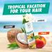 Batiste Dry Shampoo Tropical Fragrance Value Pack Refresh Hair and Absorb Oil Between Washes Waterless Shampoo for Added Hair Texture and Body Large Format 350 mL Tropical 350 g (Pack of 1) - Buy Online on GoSupps.com