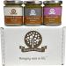 Nutural World - Special Almond Nut Butter Collection - Smooth (Set of 3) - 170g - Buy Online on GoSupps.com