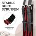 Esposita Riding Strap with 2 Leather Handles - Ideal for Children & Riders | Versatile Lunging & Vaulting Belt | Pony Accessories in Red-Black - Buy Online on GoSupps.com