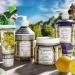 Sicilian Leone Liquid Hand Soap 500 ml - Buy Online on GoSupps.com