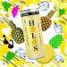 HOLOS Kombucha Soda - Pineapple & Mint - 250ml x 24 cans - No Sugar Live Cultures Vegan Gluten Free - Buy Online on GoSupps.com