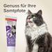 Buy Beaphar Malt Paste for Cats 250g (Pack of 2) - Premium Cat Care Treats - Fast International Shipping - Buy Online on GoSupps.com