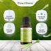 Viva Doria 100% Pure Lemongrass Essential Oil - Undiluted Food Grade 15 mL | Shop Internationally - Buy Online on GoSupps.com