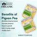 Blessfull Healing Organice Pigeon Pea 2 lb (907 Gram) - Buy Online on GoSupps.com