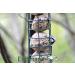 Erdtmanns 35 Fat Balls in Bucket - 3 kg Bird Feed for Garden - No Net - International Shipping Available - Buy Online on GoSupps.com