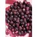 KoRo - Cassis lyophilis s 500 g - Buy Online on GoSupps.com