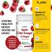 YumVs Apple Cider Vinegar Gummies with The Mother + Ginger - 60 Count | Non GMO Vegetarian Supplement for Heart Health & Digestive Support | Natural Apple Flavor Chewables for Women & Men - Buy Online on GoSupps.com