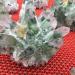 Home Decoration Natural Green Ghost Phantom Quartz Crystal Cluster Healing Specimen Chakra Stones Crystal Cluster - Buy Online on GoSupps.com
