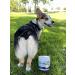 Great Poop Probiotics for Dogs - Fiber Supplement & Digestive Enzymes Chews for Healthy Gut & Firm Stool - Chicken Flavor - 120 Ct - Buy Online on GoSupps.com