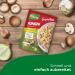Buy Knorr Spaghetteria Funghi Pasta Ready Meal Delicious 6-Minute Dish 10x150ml Fast International Shipping - Buy Online on GoSupps.com