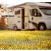 Pro-Kleen Caravan Toilet Chemical Blue 2L & Pink 2L Rinse Fluid - Eco-Friendly & Formaldehyde Free Cleaner for Caravan & Motorhomes - 20 Treatments - Buy Online on GoSupps.com