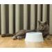 PawsMark Anti-Splash Dripless Water Slow Feeder Car Bowl for Pets - White (QI003724) - Buy Online on GoSupps.com