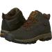 Timberland Youth Mt. Maddsen Waterproof Hiking Boot - Little Kid 13.5 Dk Brown Full Grain - Buy Online on GoSupps.com