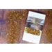Rotbusch tea orange - eucalyptus rooibos tea from south africa red bush tea loose rooibos premium red bush tea naturally flavored (250g) orange eucalyptus 250g