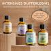 Woodfjord Sauna Infusion Set Bio Classic - 4 Organic Fragrances & Oils (100ml) for Authentic Sauna Experience | Premium Air Test Set - Buy Online on GoSupps.com