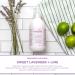 Sapadilla Liquid Hand Soap Variety Pack - 100% Pure Essential Oil Blends - Plant Based and Biodegradable - 12oz (Pack of 3) - Buy Online on GoSupps.com