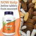 Now Foods Kelp 150mcg 200 Tablets - Lab-Tested Natural Iodine, Soy Free, Gluten Free, Vegetarian - Buy Online on GoSupps.com