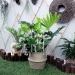MSUIINT Spliced Plant Climbing Frame 9.45x66.93 In DIY Spliced Trellis Plant Support Climbing Frame Vines Spliced Garden Trellis Metal Support Stand Cylindrical Tower for Climbing Vine Flowers 170cm S - Buy Online on GoSupps.com
