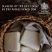 Bronnley England Black Tea & Peony Triple Milled Vegan Soap Bars - Set of 3 | Palm Oil-Free & Plastic-Free Packaging - 3.5oz each - Buy Online on GoSupps.com