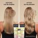 John Frieda Go Blonder Lightening Conditioner for Moisture Restoring and Strengthening Blonde Hair | Bright and Shiny Blonde | Highlights Lightening Root Blending | Bright and Radiant Blonde | Up to Two Shades Lighter (250 mL) 250 ml (Pack of 1) Condition - Buy Online on GoSupps.com