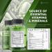 Dr. Emy's Super Greens Gummies - 8 Powerful Blends for Digestion & Immune Support - Vegan Raspberry Flavor - 60 ct - Buy Online on GoSupps.com