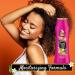 Tone Island Vibes Body Wash 18 fl oz - Pack of 6 | Refreshing and Hydrating Formula - Buy Online on GoSupps.com