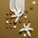 Dove Purely Pampering Body Wash for Dry Skin Shea Butter & Vanilla 4 Pack - 22 Fl Oz - Buy Online on GoSupps.com