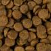 Christopherus Vegetarian Peas Tapioca with Pumpkin 8 kg - Buy Online on GoSupps.com