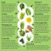 Smart Pressed Organic Greens Superfoods Juice Powder - 30 Servings Bottle, Vegan Alkalizing Green Juice Cleanse Detox - Buy Online on GoSupps.com