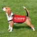 Buy HOLLP Training Dog Jacket Vest - Medium Safety Vest for Dog Walking & Training - Comfortable & Durable - Buy Online on GoSupps.com