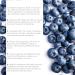 Thames Tea Tubebox - Premium Flavoured Loose Leaf Tea | Luxury British Fruit & Herbal Tea Collection - Buy Online on GoSupps.com