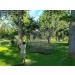 IUZEAI Golf Practice Net - Heavy Duty Nylon Golf Sports Netting in 10x10ft/10x15ft/10x20ft - Hitting & Barrier Nets - Buy Online on GoSupps.com