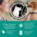 Purina Beyond Grain Free Wet Dog Food â€“ Ocean Whitefish, Salmon & Sweet Potato (12 Cans, 13 oz Each) - Buy Online on GoSupps.com