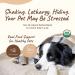 Kin+Kind Healthy Calm Herbal Blend for Dogs & Cats - Chamomile & Thyme Supplement 4 oz - Buy Online on GoSupps.com