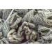 Black Horehound Herb Tea | Ballota Nigra L | Ballote Noire Herbe Tisane Health Embassy (100g) - Buy Online on GoSupps.com
