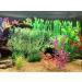 BEGONDIS Aquarium Decoration - 14pcs Artificial Green Aquatic Plants & Seaweed for Fish & Pets | Ships Internationally - Buy Online on GoSupps.com