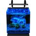 MarineLand Contour Glass Aquarium Kit with Rail Light - 3-Gallon - Buy Online on GoSupps.com