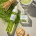 Le Monde Gourmand Th Matcha Eau de Parfum - 1 fl oz (30 ml) - Green Tea Floral Amber Perfume Notes Th Matcha 1 Fl Oz (Pack of 1) - Buy Online on GoSupps.com